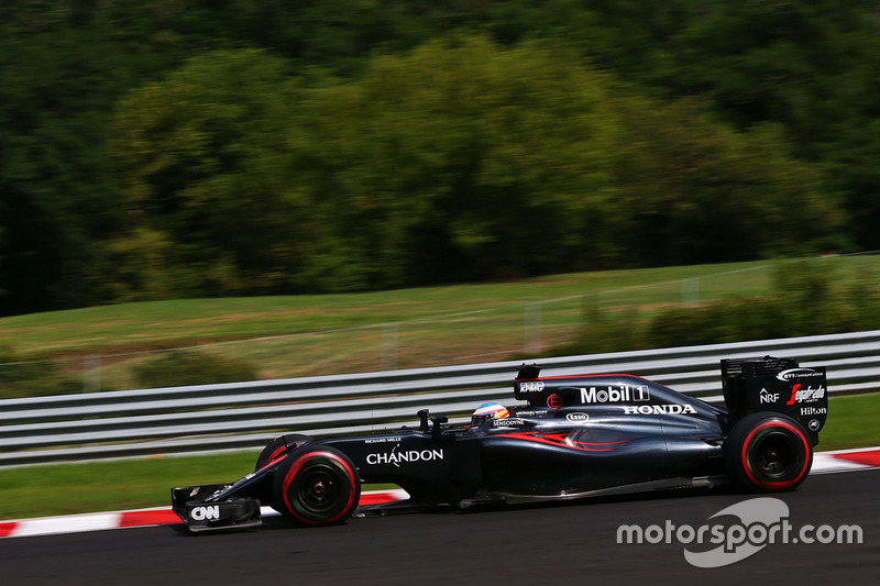 Fernando Alonso, McLaren MP4-31