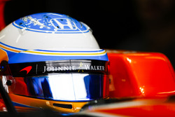 Fernando Alonso, McLaren