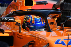 Lando Norris, McLaren MCL33