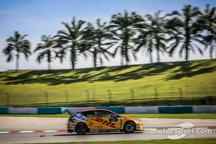 Tom Coronel, Comtoyou DHL Team CUPRA Racing CUPRA TCR