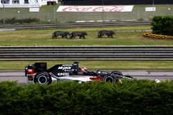 Грэм Рейхол, Rahal Letterman Lanigan Racing Honda