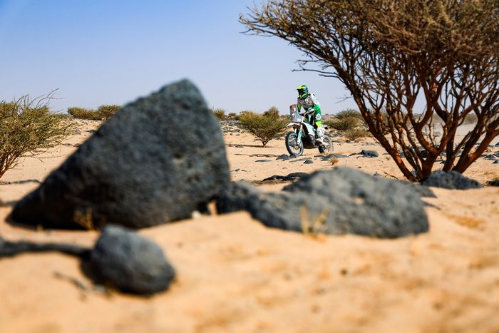 #35 BS - Frutas Patricia Pilar Husqvarna: Bruno Santos