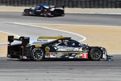 #5 Action Express Racing Cadillac DPi: Joao Barbosa, Christian Fittipaldi