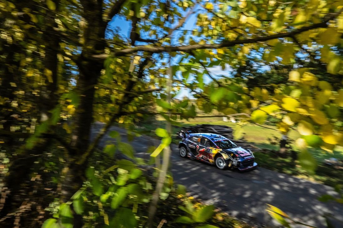 Joshua McErlean, Eoin Treacy, M-Sport Ford World Rally Team Ford Puma Rally1