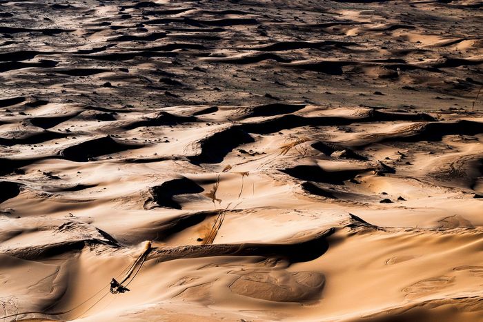 #8 Red Bull KTM Factory Racing: Toby Price