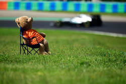 Nico Rosberg, Mercedes AMG F1 W07 Hybrid passes a teady bear