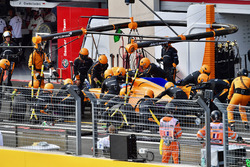 Fernando Alonso, McLaren MCL33 pit stop