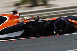 Стоффель Вандорн, McLaren MCL32
