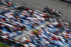 Jenson Button, McLaren MP4-31