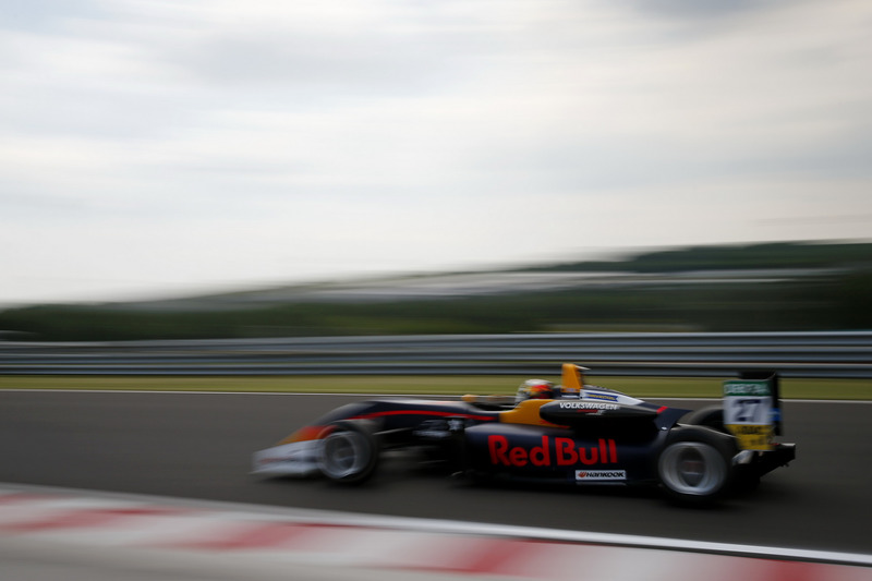 Dan Ticktum, Motopark Dallara F317 - Volkswagen