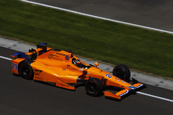 Fernando Alonso, Andretti Autosport Honda