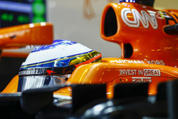 Fernando Alonso, McLaren