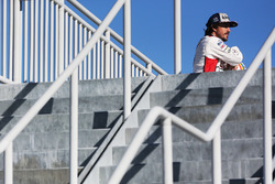 Fernando Alonso, United Autosports