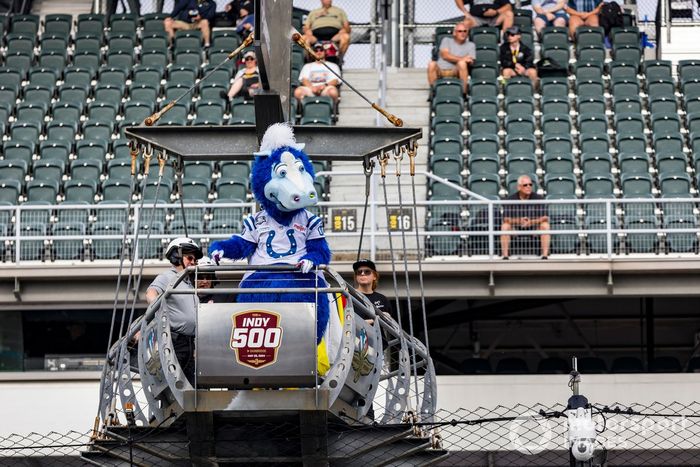 Mascota de los Indianapolis Colts