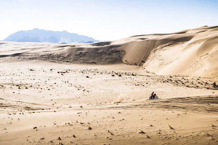 #11 Monster Energy Honda Team 2022: Jose Ignacio Cornejo Florimo