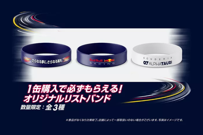 さらなる夢に、さらなる翼を。キャンペーンオリジナルリストバンド
