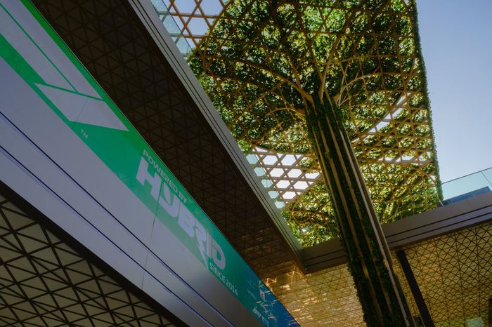 Detalle del paddock de Yeda