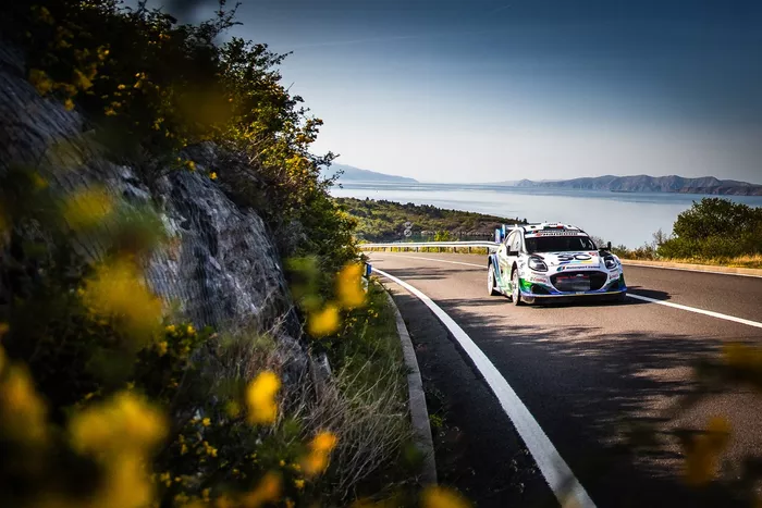 Joshua Mcerlean, Eoin Treacy, M-Sport Ford World Rally Team Ford Puma Rally1