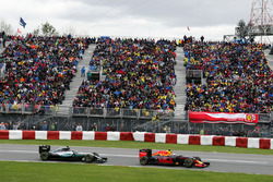 Daniel Ricciardo, Red Bull Racing RB12, vor Nico Rosberg, Mercedes AMG F1 W07 Hybrid