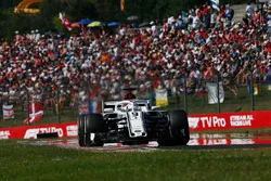 Marcus Ericsson, Sauber C37