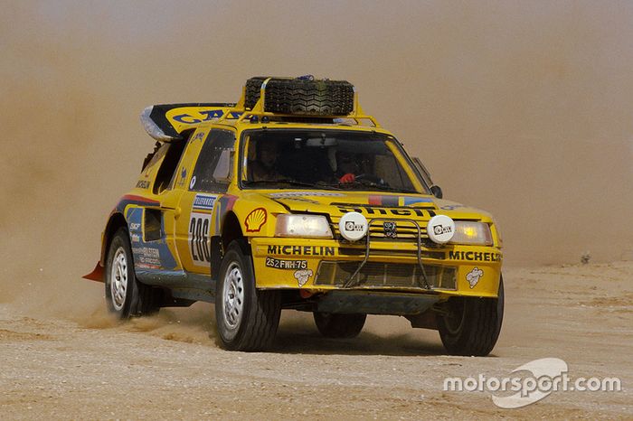 #206 Peugeot: Shekhar Mehta, Mike Doughty