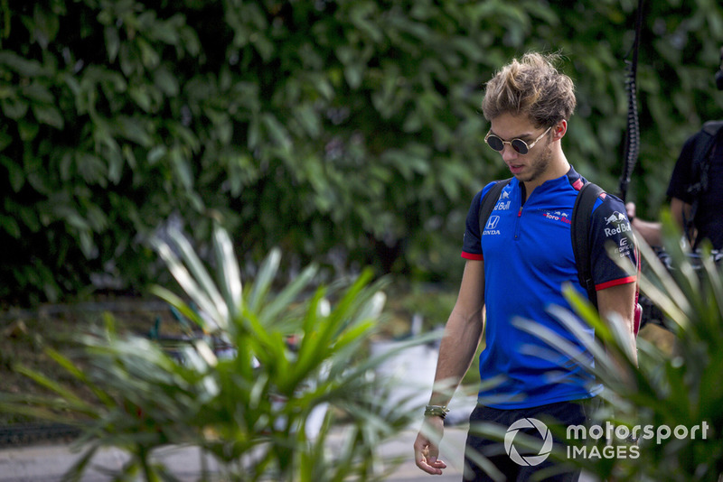 Pierre Gasly, Scuderia Toro Rosso