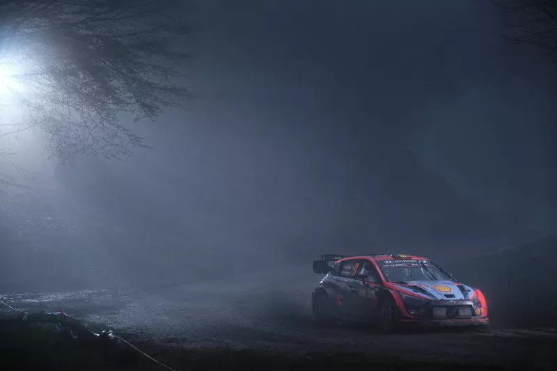 Thierry Neuville, Martijn Wydaeghe