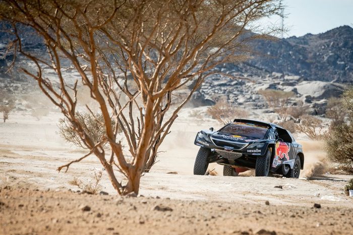 #210 Karman / Hexaom Peugeot: Cyril Despres, Taye Perry