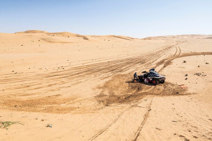 #207 Team Audi Sport Audi: Carlos Sainz, Lucas Cruz