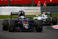 Fernando Alonso, McLaren MP4-31