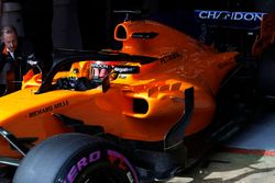 Stoffel Vandoorne, McLaren MCL33