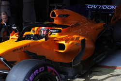 Stoffel Vandoorne, McLaren MCL33