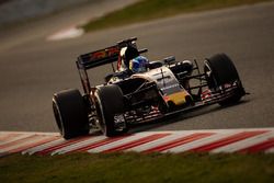 Max Verstappen, Scuderia Toro Rosso STR11