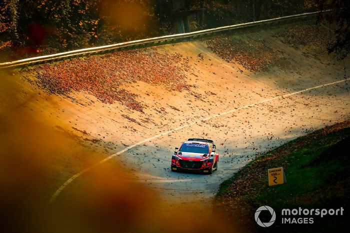 Thierry Neuville, Martijn Wydaeghe, Hyundai Motorsport Hyundai i20 Coupe WRC