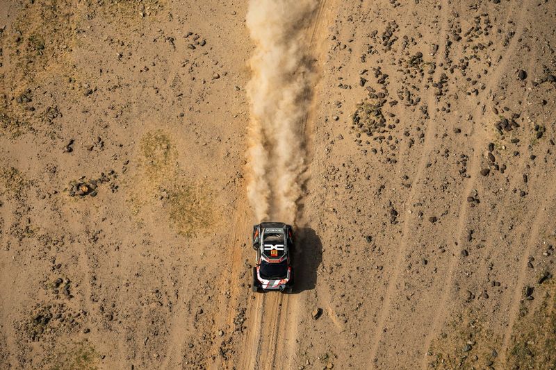 #219 I Dacia Sandriders Dacia: Sebastien Loeb, Edouard Boulanger