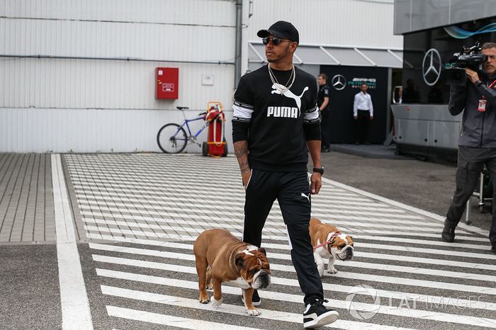 Lewis Hamilton, Coco e Roscoe