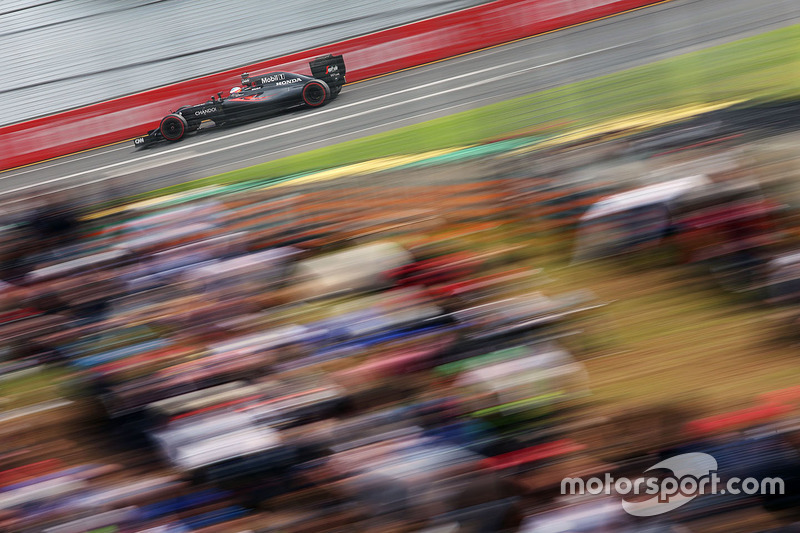 Фернандо Алонсо, McLaren MP4-31