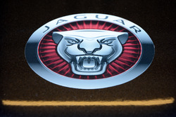 Jaguar Racing detail