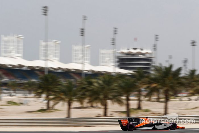 Stoffel Vandoorne, McLaren MCL32