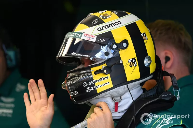 GP Austria 2022, sobre la extinción de las abejas