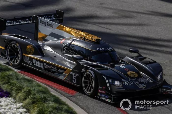 #5 Mustang Sampling Racing Cadillac DPi, DPi: Joao Barbosa, Filipe Albuquerque