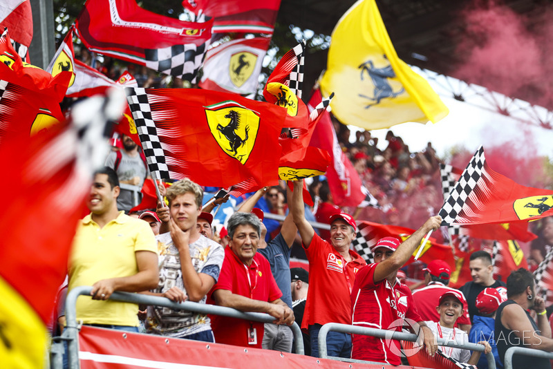 Tifosi