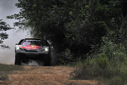 #300 Peugeot Sport Peugeot 3008 DKR: Стефан Петерансель, Жан-Поль Коттре