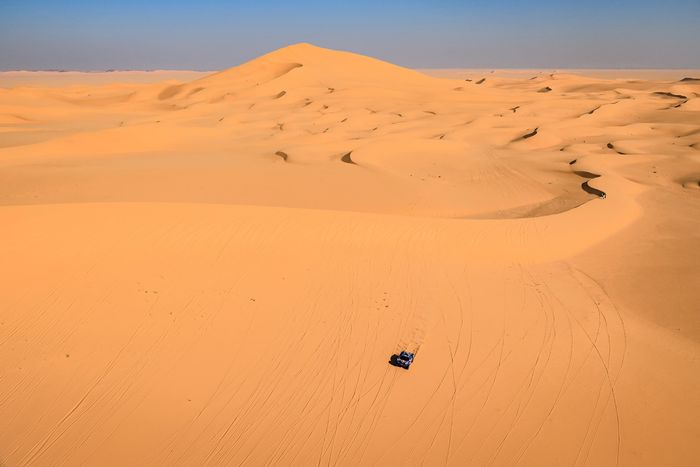 #226 Ford M-Sport Ford: Mattias Ekstrom, Emil Bergkvist