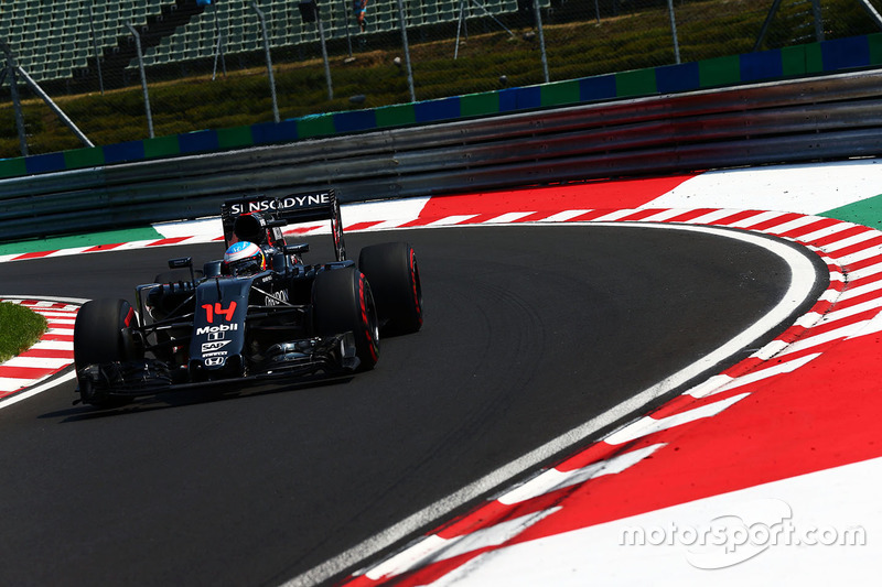 Fernando Alonso, McLaren MP4-31