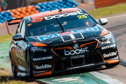 James Courtney, Walkinshaw Andretti United Holden