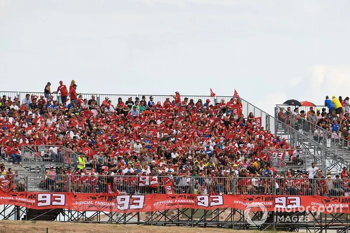 Fans