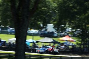#1 Paul Miller Racing BMW M4 GT3 EVO: Madison Snow, Neil Verhagen