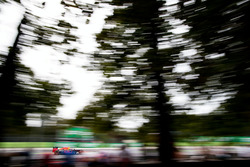 Max Verstappen, Red Bull Racing RB12