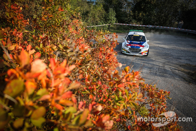 Paolo Andreucci, Anna Andreussi, Peugeot 208 T16
